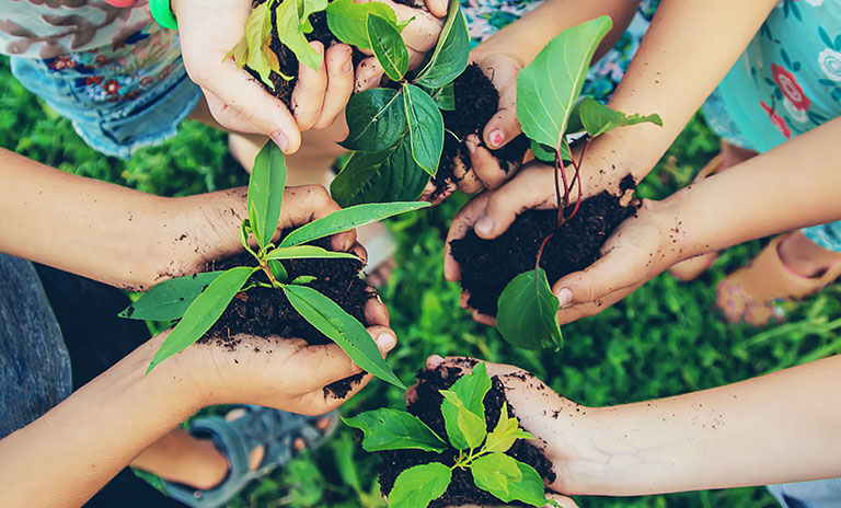 Photograph taken from above of children's hands holding a mound of soil with plants emerging from the soil