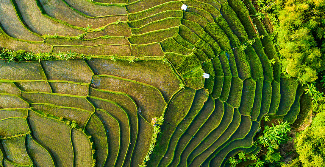 Ariel photograph of small uneven green fields